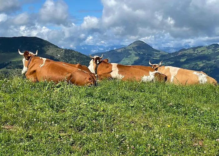 Reitstall Henntalhof Apartament Kitzbühel